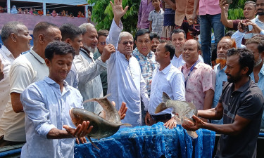 পেটে ভাত পড়তে কাজ করতে হবে : তরুণদের উদ্দেশে মির্জা ফখরুল