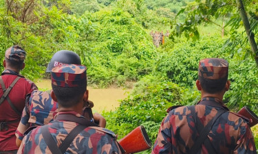পুশ ইনের চেষ্টায় ১০ জনকে ভারতে ফেরত পাঠাল বিজিবি