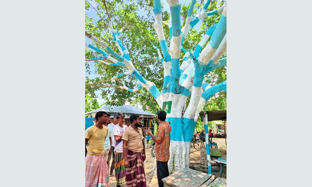 ১০ হাজারে আর্জেন্টিনার পতাকার আদলে গাছ রাঙালেন ভক্ত
