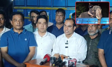 প্রধানমন্ত্রীর নির্দেশে জাতীয় চিড়িয়াখানায় গেল হাতি ‘বাদশা বাহাদুর’