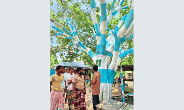 ১০ হাজারে আর্জেন্টিনার পতাকার আদলে গাছ রাঙালেন ভক্ত