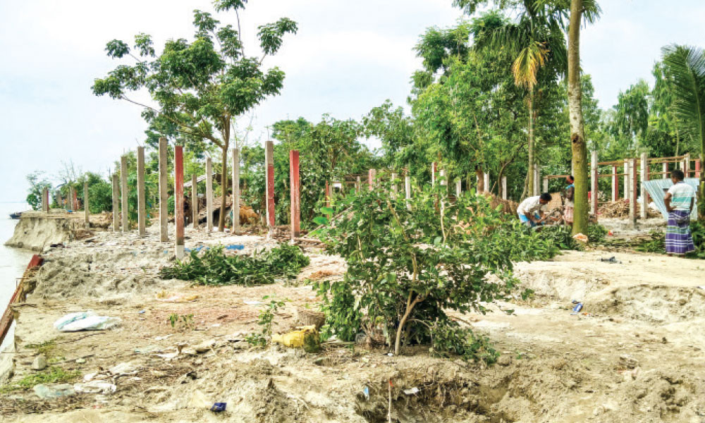 নদীভাঙনে দিশাহারা চরের মানুষ