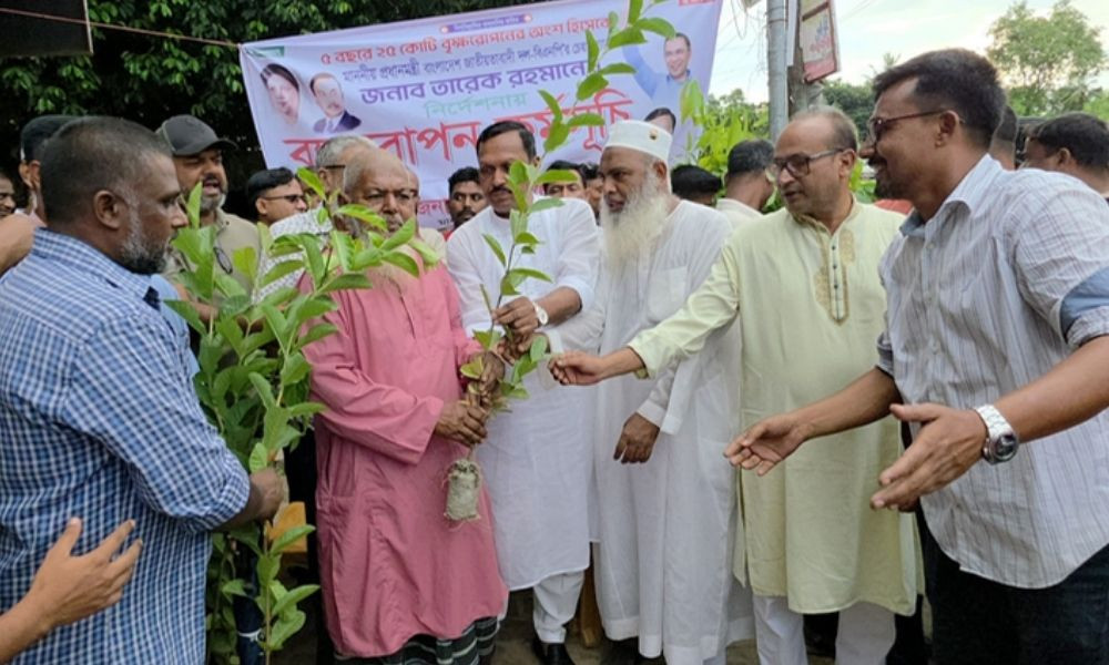 মানিকগঞ্জে বৃক্ষরোপণ কর্মসূচির উদ্বোধন করলেন এমপি জিন্নাহ কবির