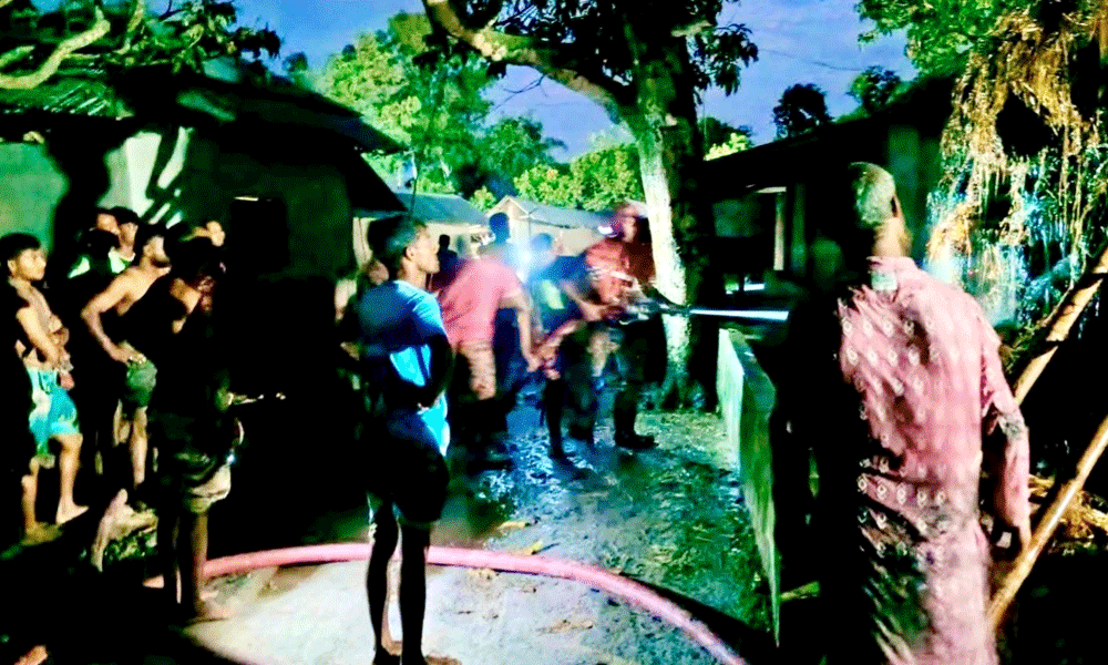 হাকিমপুরে এক রাতে ১০ খড়ের গাদায় দুর্বৃত্তদের আগুন, তিন গ্রামে আতঙ্ক