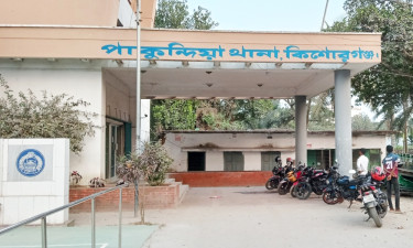 পাকুন্দিয়ায় ১ রাতে ৩ কৃষকের ৬ গরু চুরির অভিযোগ