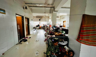 টানা বৃষ্টিতে বাগেরহাটে বাড়ছে ডেঙ্গুর প্রকোপ, হাসপাতালে ৬৪ রোগী