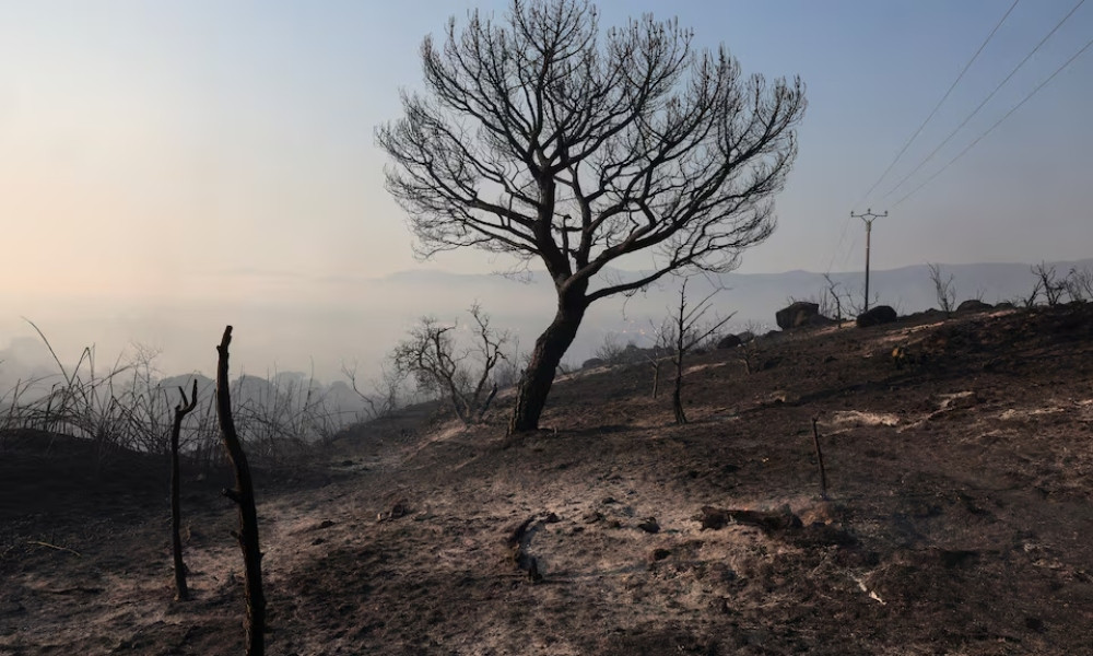 দক্ষিণ-পশ্চিম ফ্রান্সে দাবানল, ১০ হাজার মানুষকে নিরাপদ আশ্রয়ে স্থানান্তর