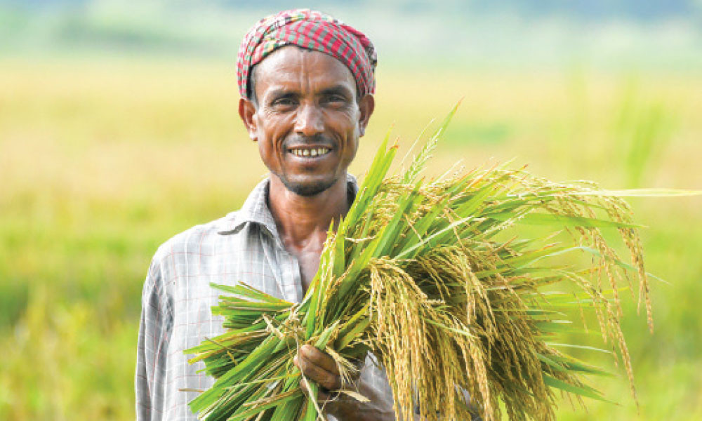 উত্তরবঙ্গের কৃষকদের জন্য ৩০০০ কোটি টাকার তহবিল