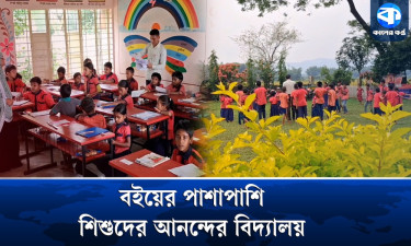 শিশুদের আনন্দের ঠিকানা মাইজপাড়া সরকারি প্রাথমিক বিদ্যালয়
