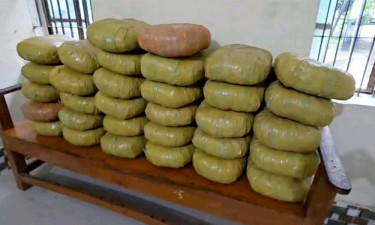 দুমকীতে ৬৬ কেজি গাঁজাসহ পিকআপ জব্দ