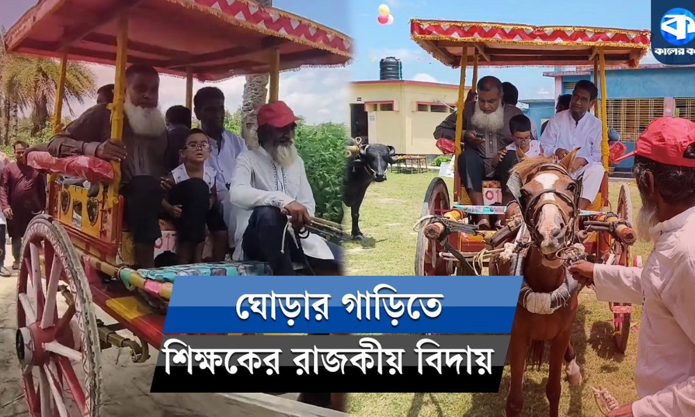 ঘোড়ার গাড়িতে করে সিরাজ উদ্দিনকে রাজকীয় সংবর্ধনা