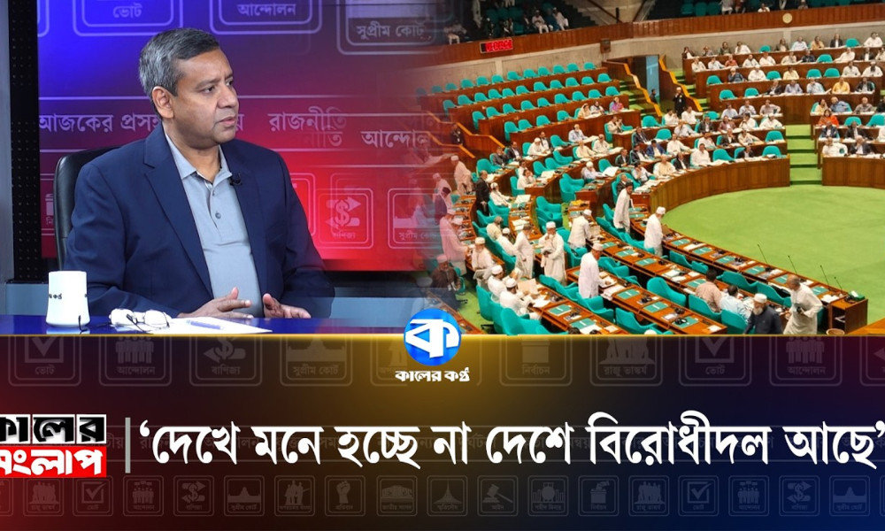 ‘দেখে মনে হচ্ছে না দেশে বিরোধী দল আছে’