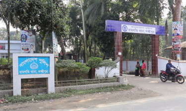 পুকুরে ডুবে চাচাতো ভাই-বোনের মৃত্যু