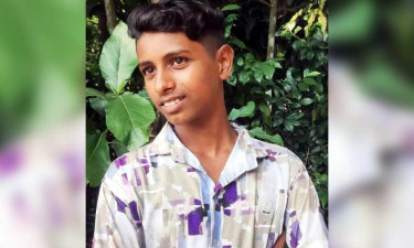 পোষা পাখি মরে যাওয়ায় কান্না, শাসন করায় বড় ভাইকে ছুরিকাঘাতে হত্যা