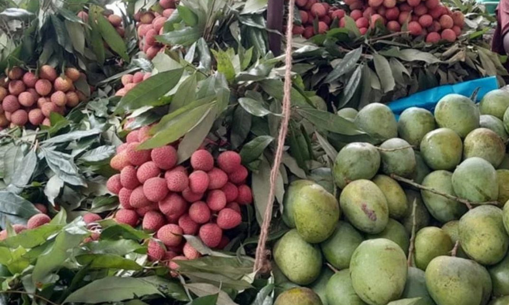 অনলাইনে আম-লিচু বিক্রি করার ক্ষেত্রে সতর্কতা জরুরি