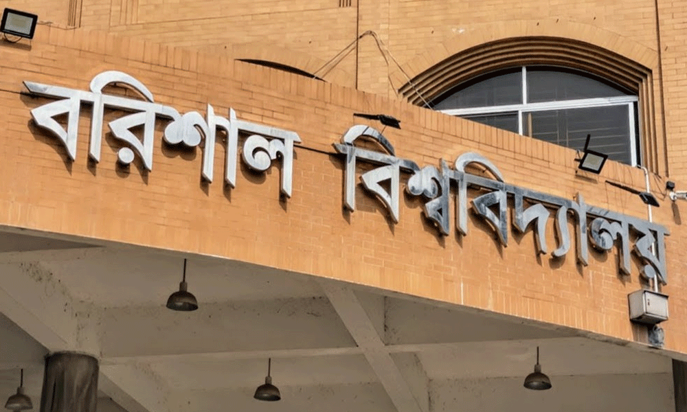 অনার্সের ফল দেখা হলো না ববি শিক্ষার্থী সুমাইয়ার