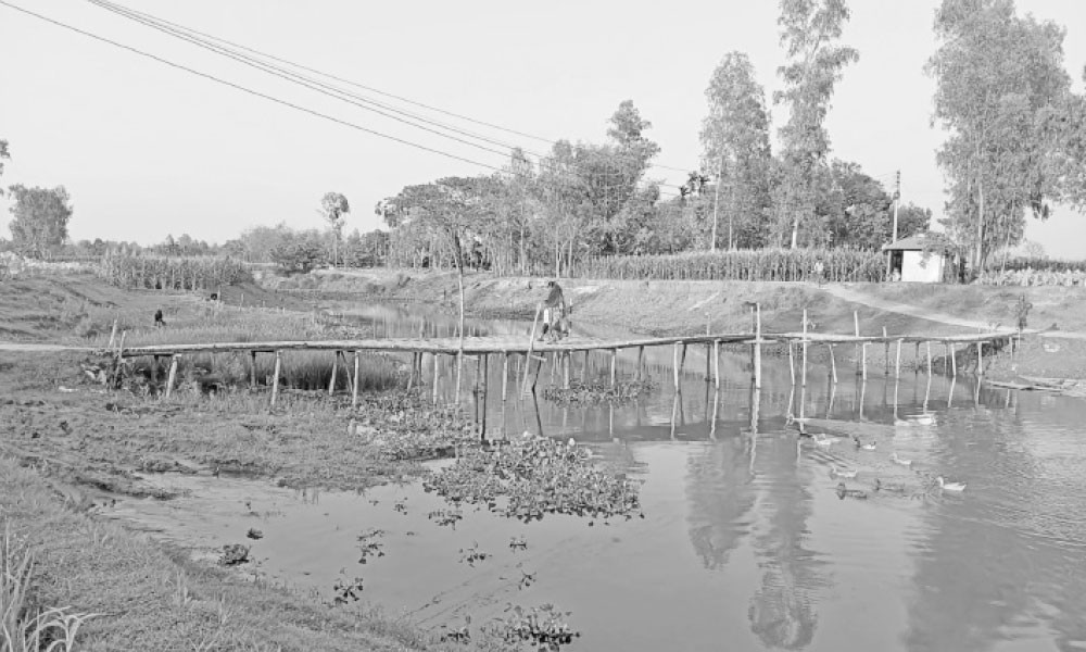 সরেয়ারতল ঘাটে সেতু চাই