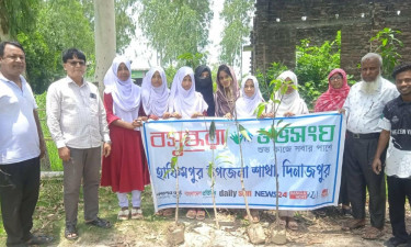 হাকিমপুরে বসুন্ধরা শুভসংঘের উদ্যোগে বৃক্ষরোপণ কর্মসূচি