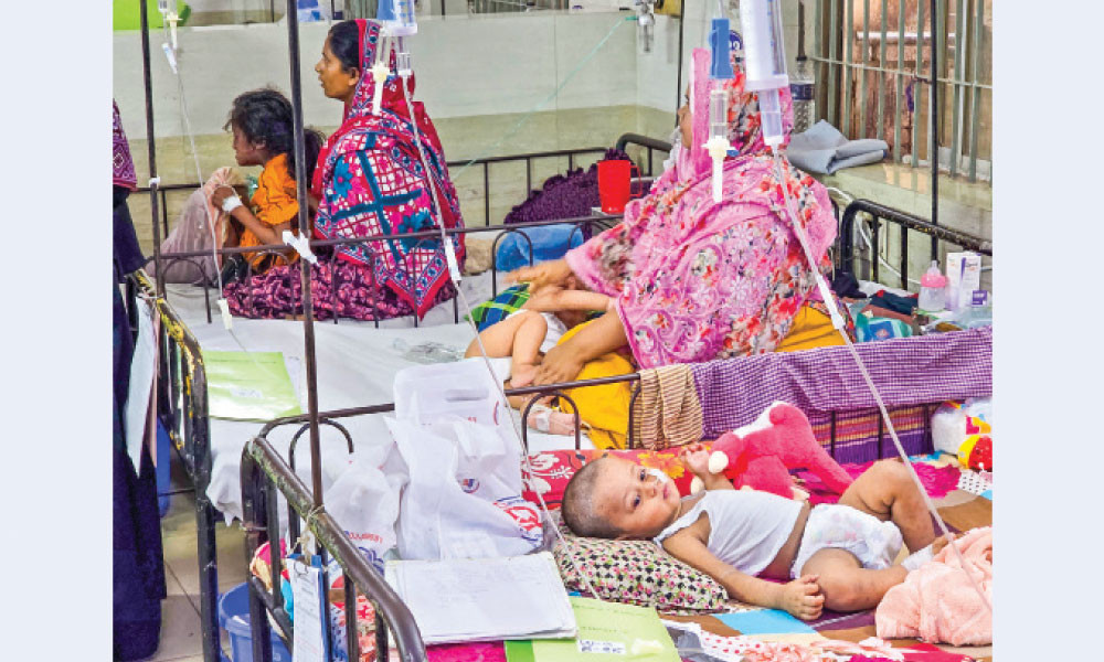 হামে আরো তিন মৃত্যু