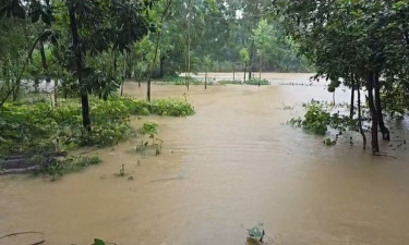 মুহুরীতে পানি বেড়েছে, বাঁধ উপচে লোকালয় প্লাবিত
