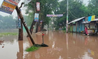 টানা বৃষ্টিতে সাতক্ষীরা শহরের নিম্নাঞ্চল প্লাবিত