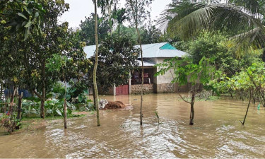 সিলেট বিভাগে বন্যা : লাখের অধিক মানুষ পানিবন্দি