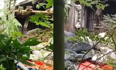 চাঁপাইনবাবগঞ্জে বসতবাড়িতে মজুদ করা ককটেল বিস্ফোরণ