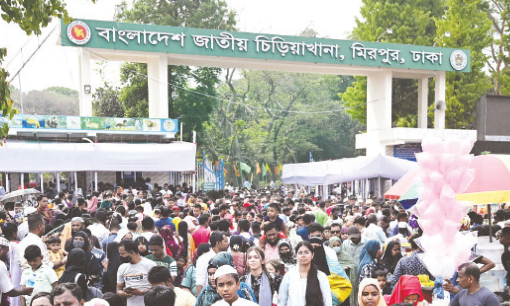 পঞ্চম শ্রেণি : আ ফিল্ড ট্রিপ টু রিমেম্বার