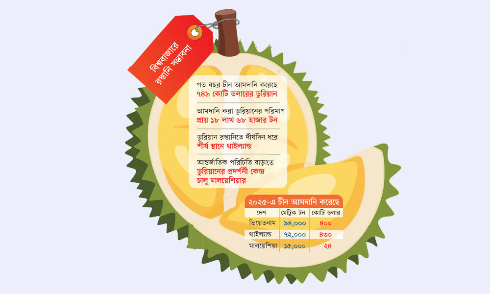বিশ্বে ডুরিয়ান রপ্তানিতে ১৫ বিলিয়ন ডলারের হাতছানি