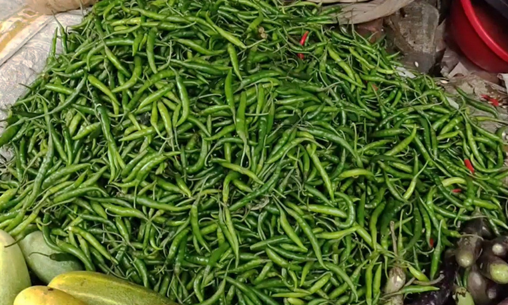 ‘কাঁচা মরিচের বাজারে বেজায় ঝাল’