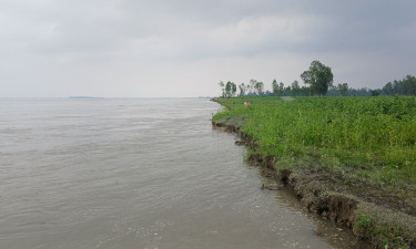 বন্যার পানি নামছে, কৃষিতে ভেসে উঠছে ক্ষত