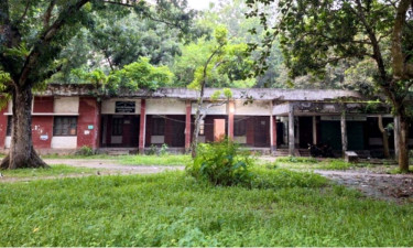 জানালার গ্রিল কেটে উপজেলা মাধ্যমিক শিক্ষা কর্মকর্তার কার্যালয়ে চুরি
