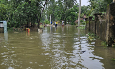 বৃষ্টি কমলেও নামছে না পানি