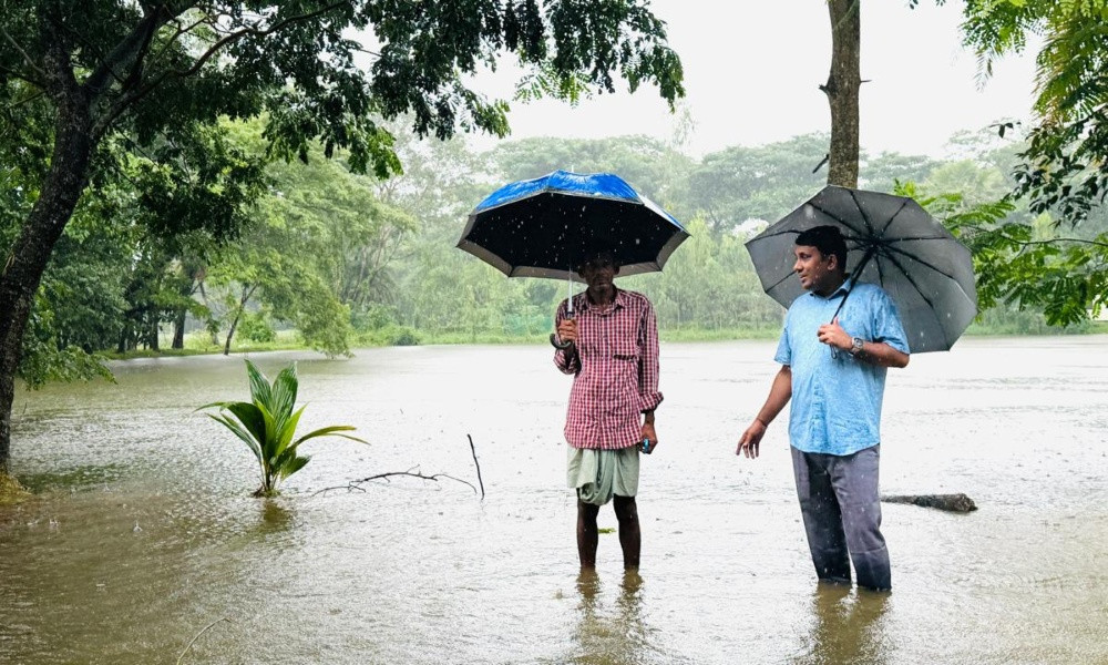 পটিয়ায় বন্যার তাণ্ডবে ভেসে গেছে ১৪০০ পুকুরের মাছ