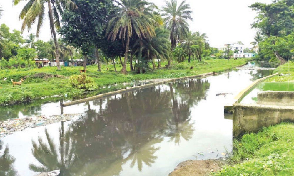 ময়ূর নদ এখন নর্দমা