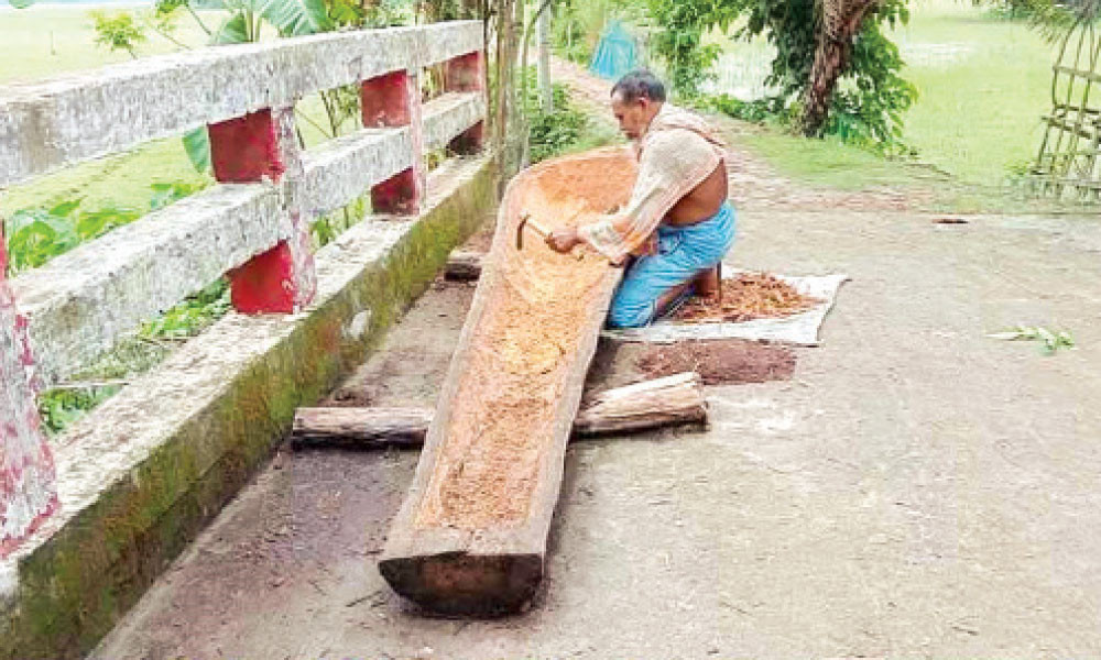 বিলুপ্তির পথে তালগাছের নৌকা