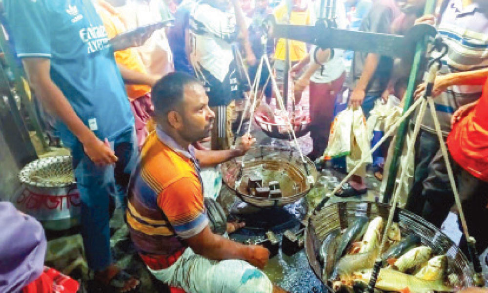 ৪৮ কেজিতে মাছের মণ ক্ষতিগ্রস্ত হচ্ছেন চাষিরা