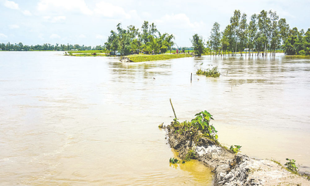 কোথাও উন্নতি, কোথাও অবনতি
