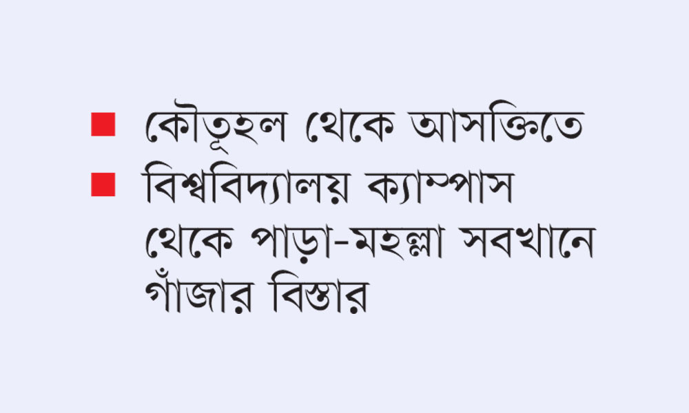সীমান্তের ১৪ জেলা দিয়ে আসছে গাঁজা, প্রতিদিন জব্দ ৮ মণ