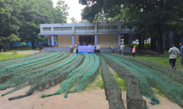 ঠাকুরগাঁওয়ে লক্ষাধিক টাকার রিং ও কারেন্ট জাল জব্দ