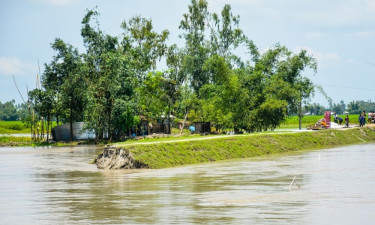 তিস্তার স্রোতে ভাঙল নতুন তীর সংরক্ষণকাজ, পানিবন্দি ৫০০ পরিবার