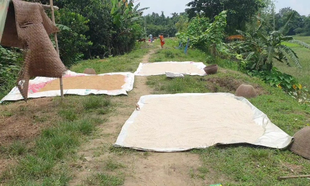 পাহাড়ি ঢল ও বৃষ্টিপাত কমে সিলেট বিভাগে বন্যা পরিস্থিতি উন্নতি