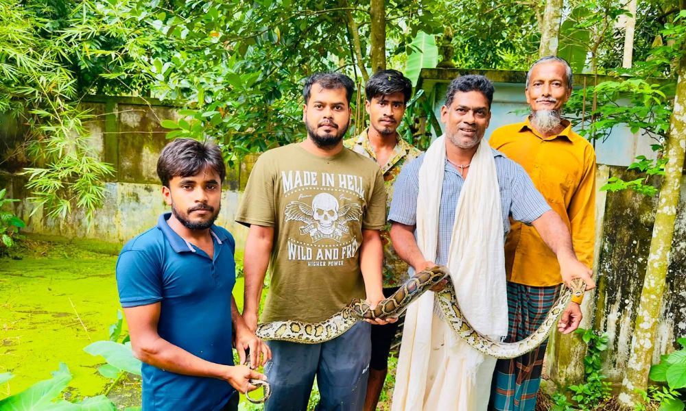 বিশ্ব সাপ দিবসে অজগর উদ্ধার করে বনাঞ্চলে অবমুক্ত