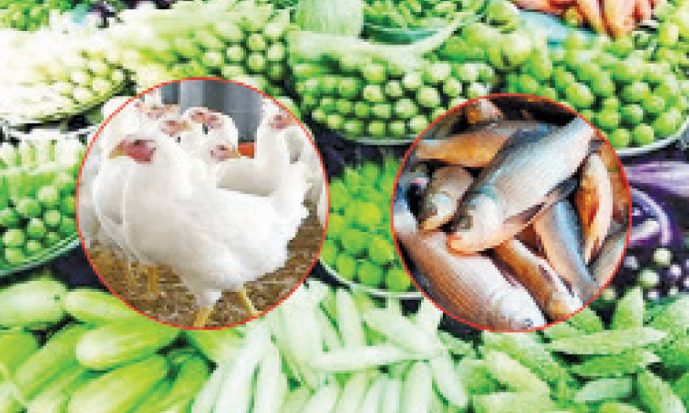 রাজধানীতে বাড়ল মাছ মুরগি সবজির দাম, ডিমও ঊর্ধ্বমুখী