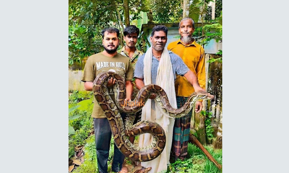 আবাসস্থল সংকটে লোকালয়ে লাউয়াছড়ার সাপ, বাড়ছে উদ্বেগ