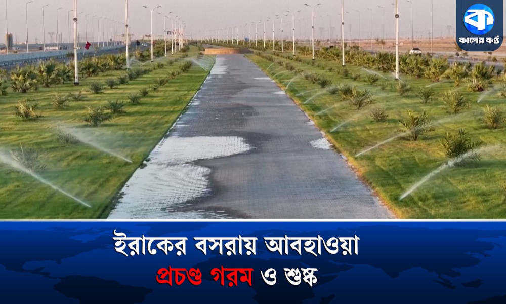 তীব্র গরম মোকাবেলায় ইরাকের বসরায় ডাচ হাইব্রিড বীজের ব্যবহার