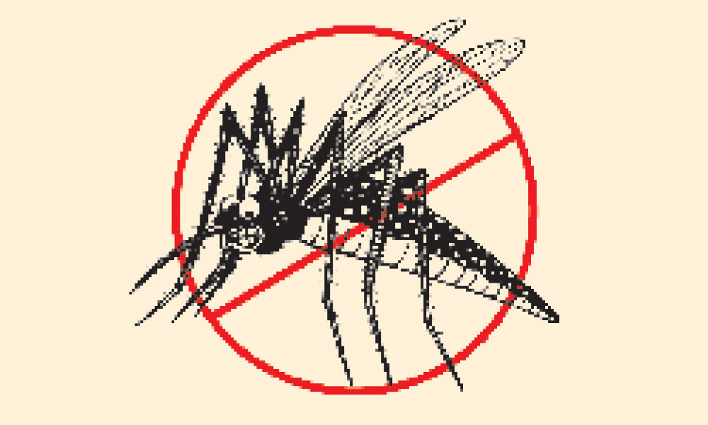 ডেঙ্গু আক্রান্ত ৫ জনে এক শিশু