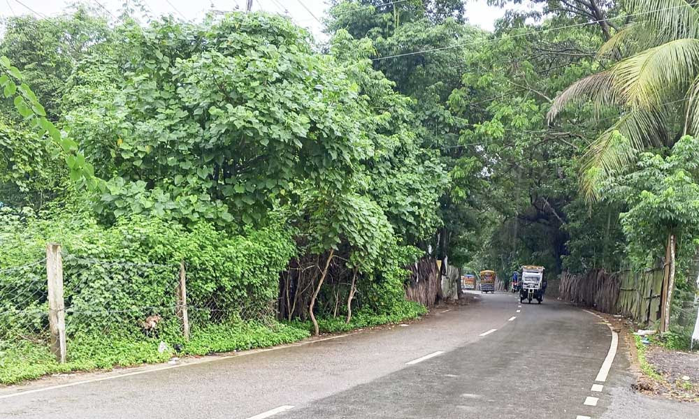 টেকনাফে ফের শিশু অপহরণ, মুক্তিপণ দাবি