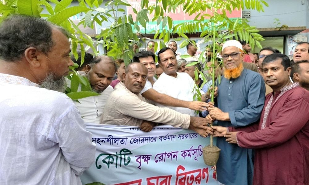মানিকগঞ্জে ৩ হাজারের বেশি চারা বিতরণ করলেন এমপি জিন্নাহ কবির