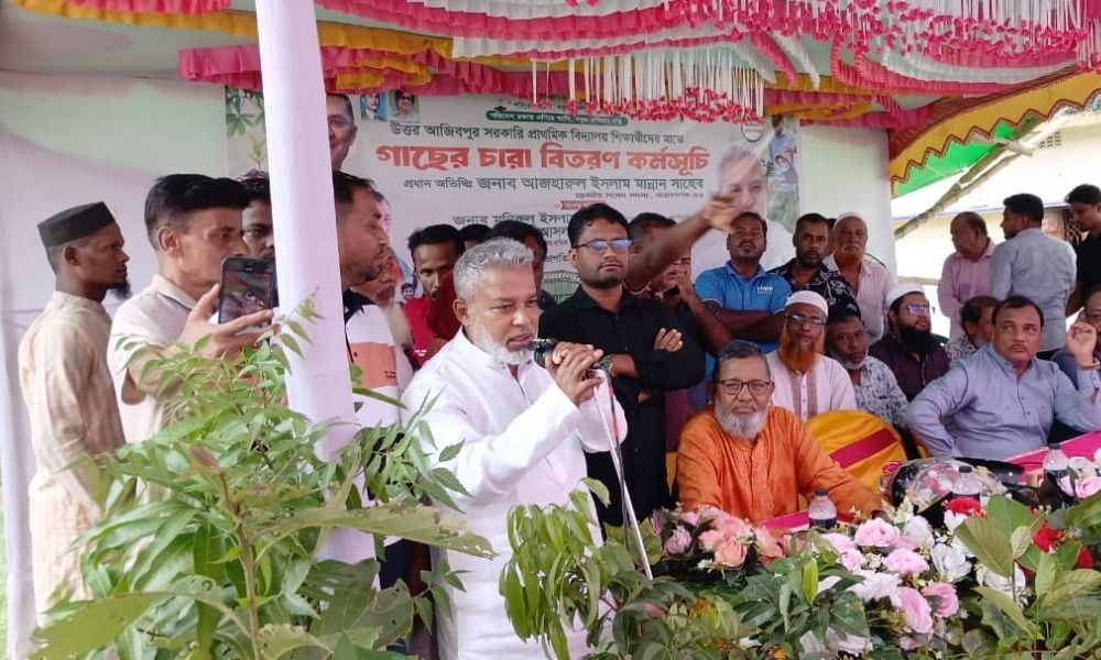 সোনারগাঁ ও সিদ্ধিরগঞ্জে দুই লাখ গাছের চারা রোপণ করা হবে : এমপি মান্নান